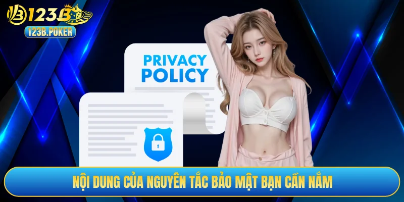 Nội dung của nguyên tắc bảo mật bạn cần nắm